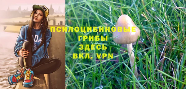 амф Алзамай