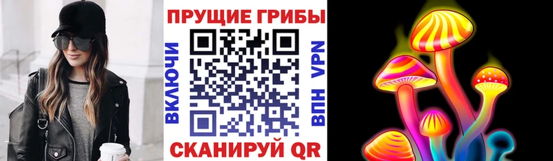 Псилоцибиновые грибы Psilocybe  как найти закладки  Краснозаводск 