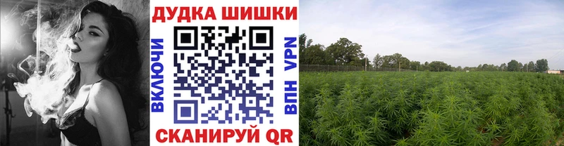 blacksprut tor  Краснозаводск  Конопля семена  купить наркотики сайты 